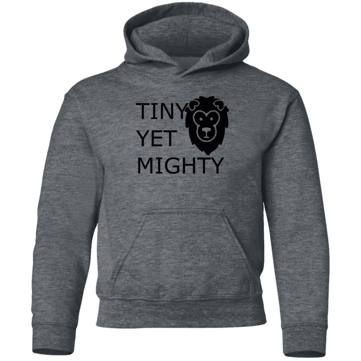 Youth Pullover Hoodie-Tiny Yet Mighty