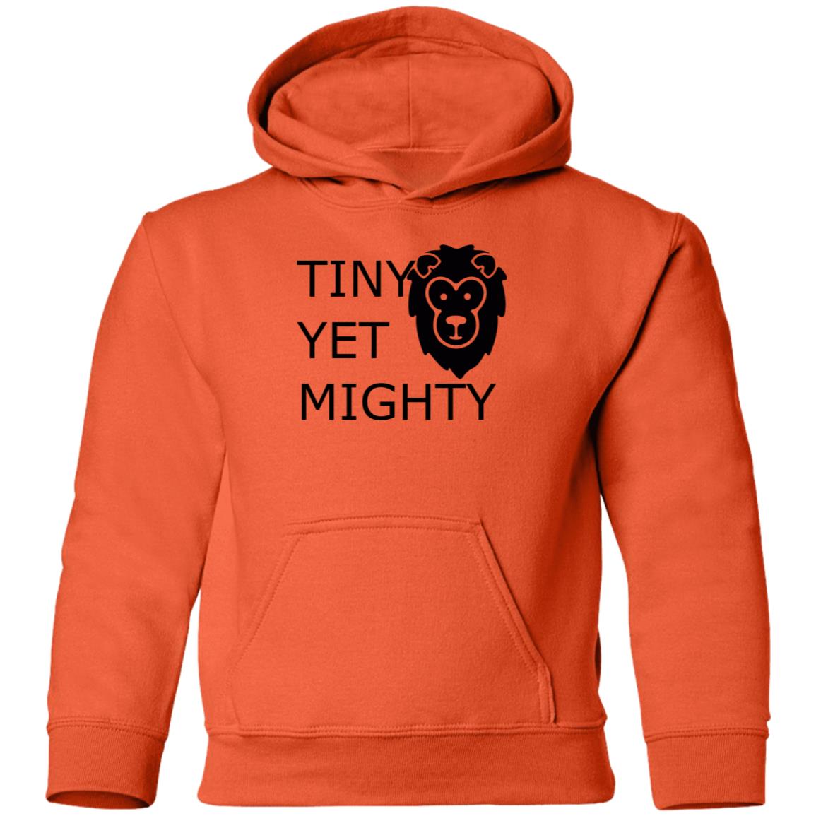 Youth Pullover Hoodie-Tiny Yet Mighty