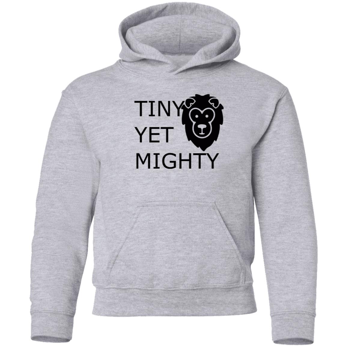 Youth Pullover Hoodie-Tiny Yet Mighty